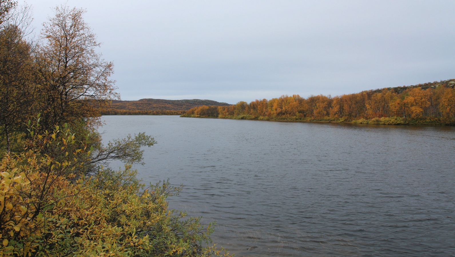 Долина Славы (Долина Смерти), image of landscape/habitat.