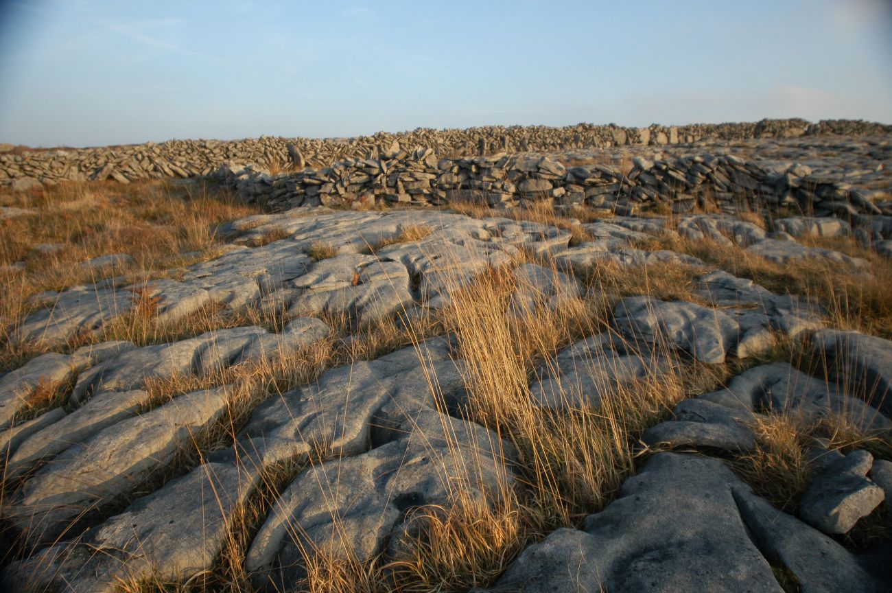 Гора Маллахмор, image of landscape/habitat.