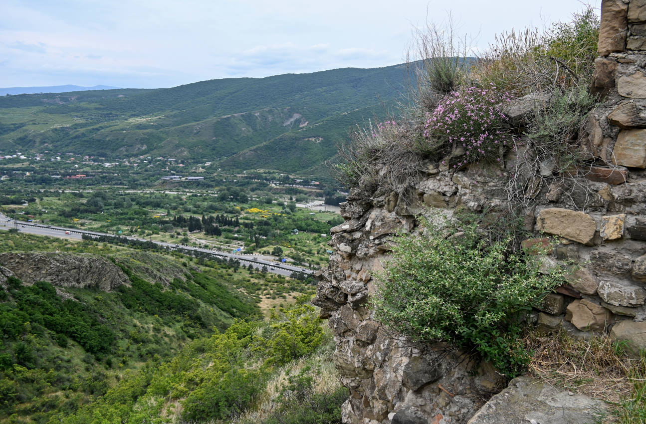 Джвари, image of landscape/habitat.