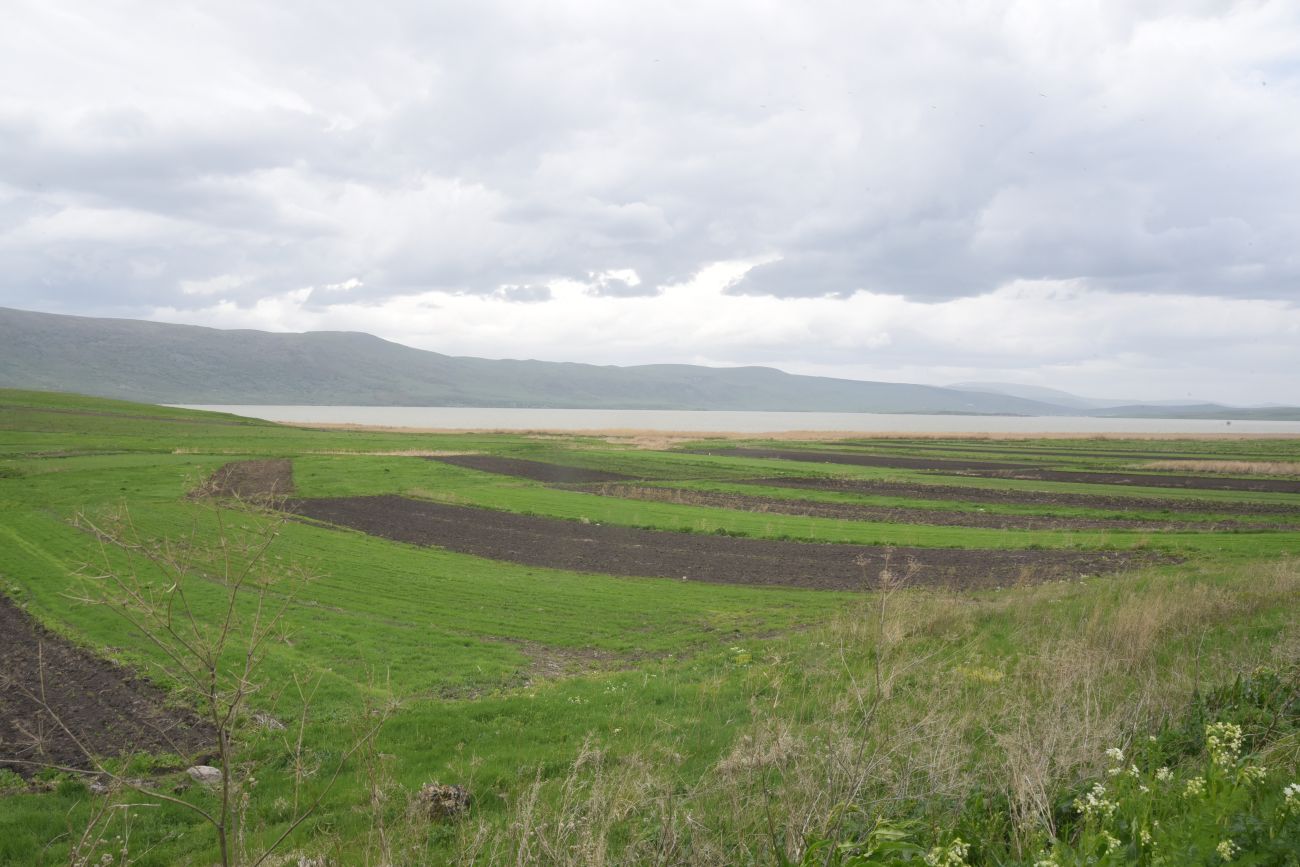 Озеро Карцахи, image of landscape/habitat.
