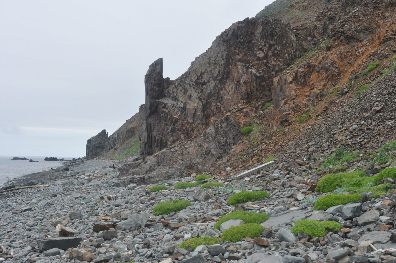 Малая бухта, image of landscape/habitat.