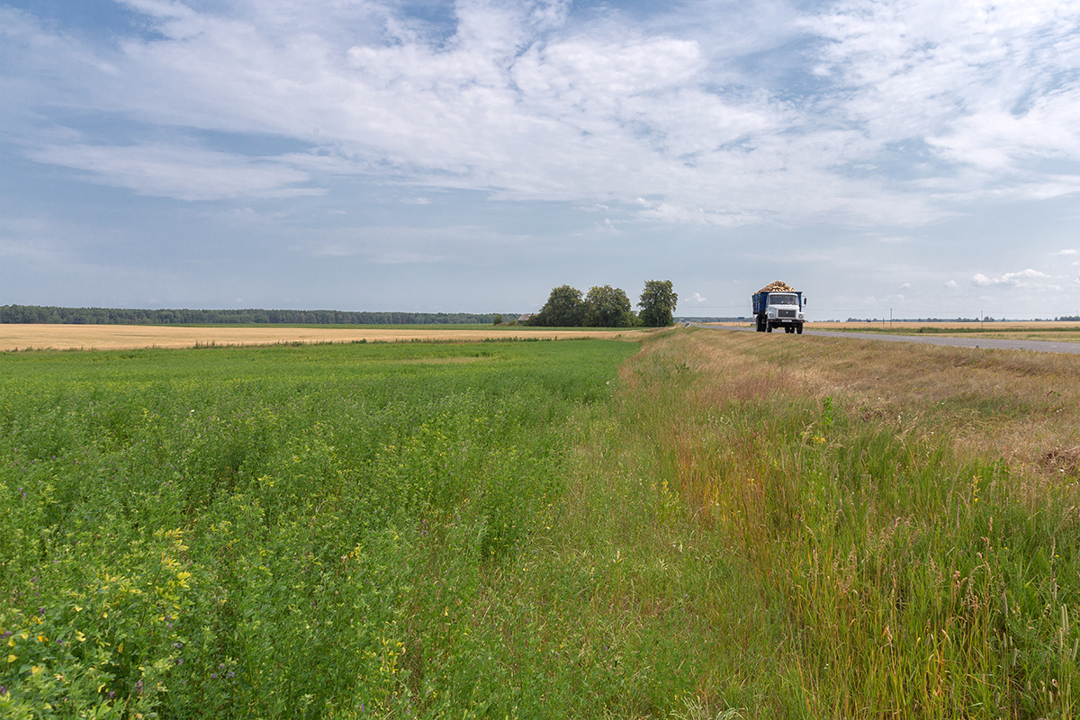 Бобинка и окрестности, image of landscape/habitat.
