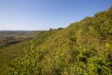 Image of landscape