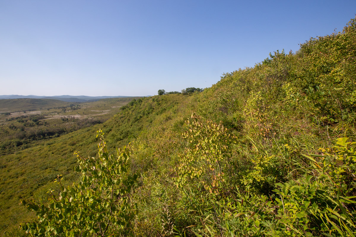 Николо-Львовское, image of landscape/habitat.
