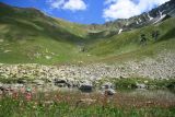 Хребет Ужум, image of landscape/habitat.