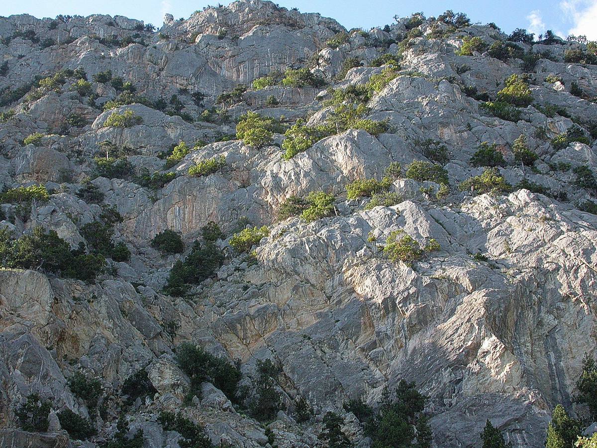 Батилиман, image of landscape/habitat.