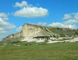 Белая Скала (Ак-Кая), image of landscape/habitat.