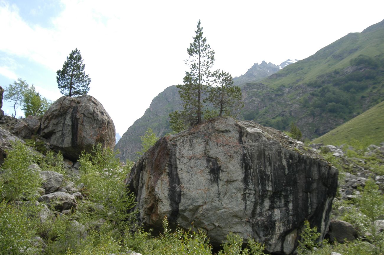 Долина реки Шхельда, image of landscape/habitat.