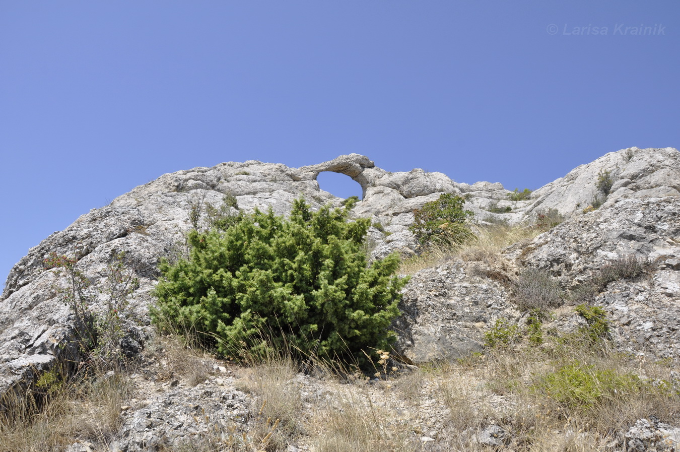 Эчкидаг, image of landscape/habitat.