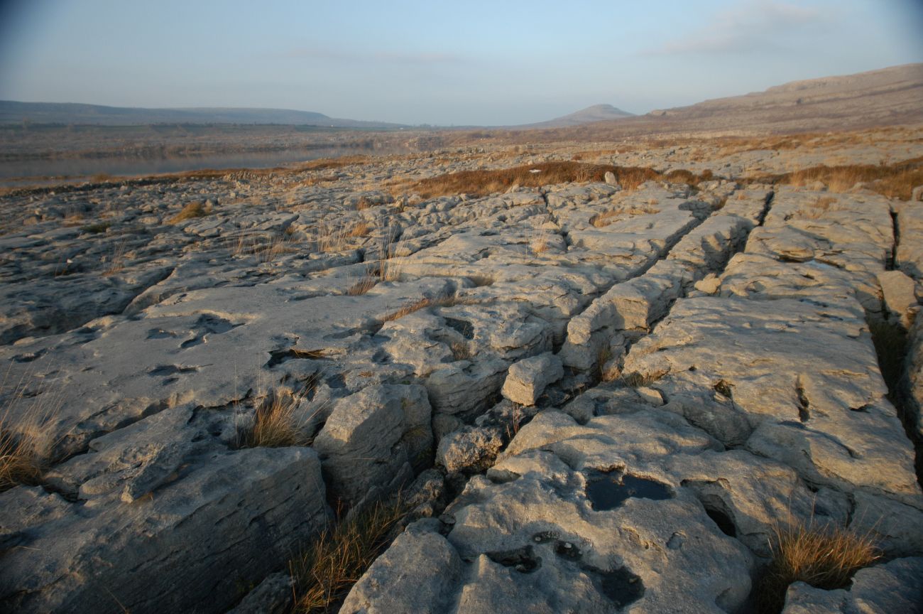 Гора Маллахмор, image of landscape/habitat.