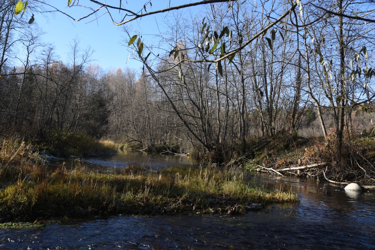 Окрестности деревни Семичёво, image of landscape/habitat.