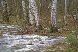 Image of landscape