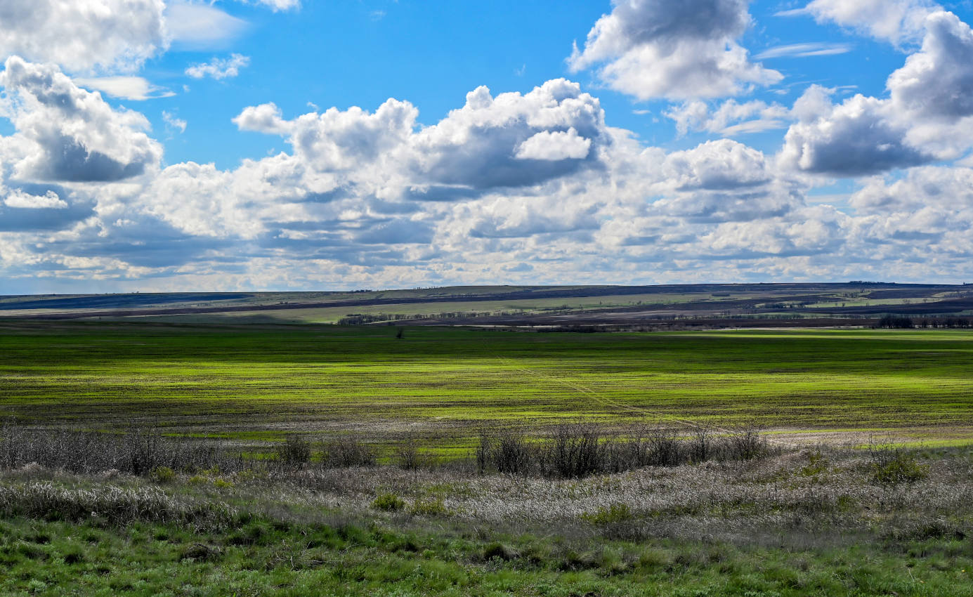 Природный парк "Донской", image of landscape/habitat.