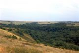 Image of landscape