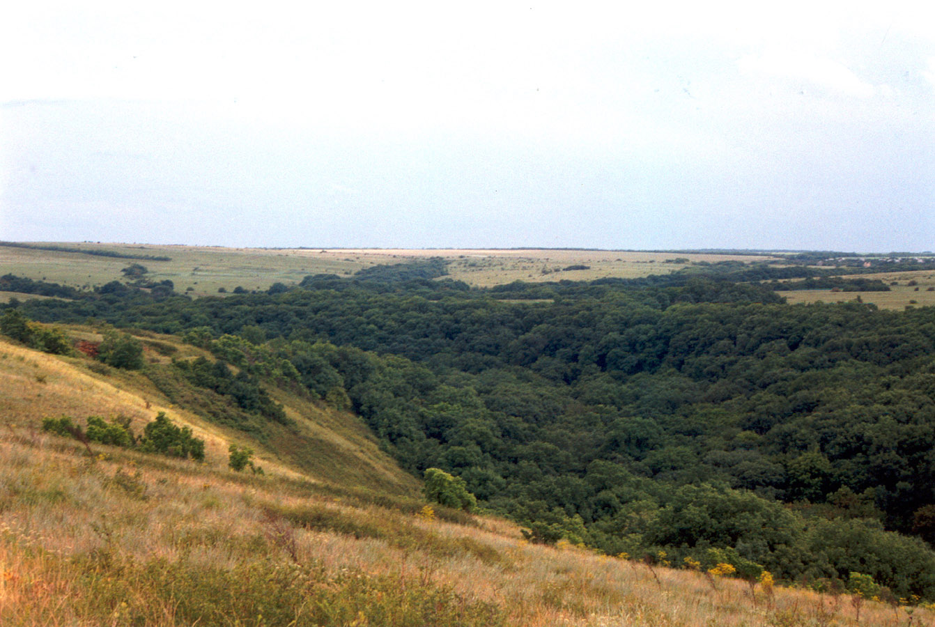 Провалье, Калиновский участок, изображение ландшафта.