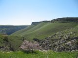 Image of landscape