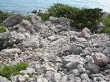 Image of landscape
