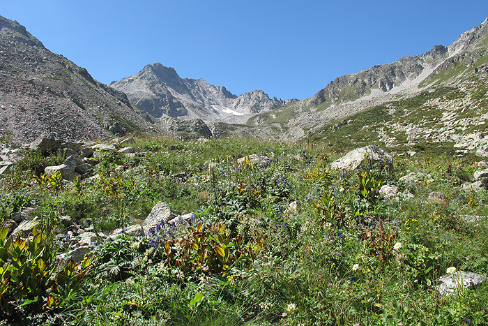 Xодюк, image of landscape/habitat.