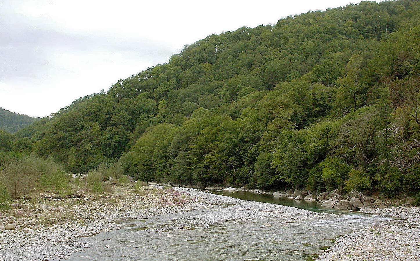 Татьяновка, image of landscape/habitat.