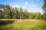 Image of landscape