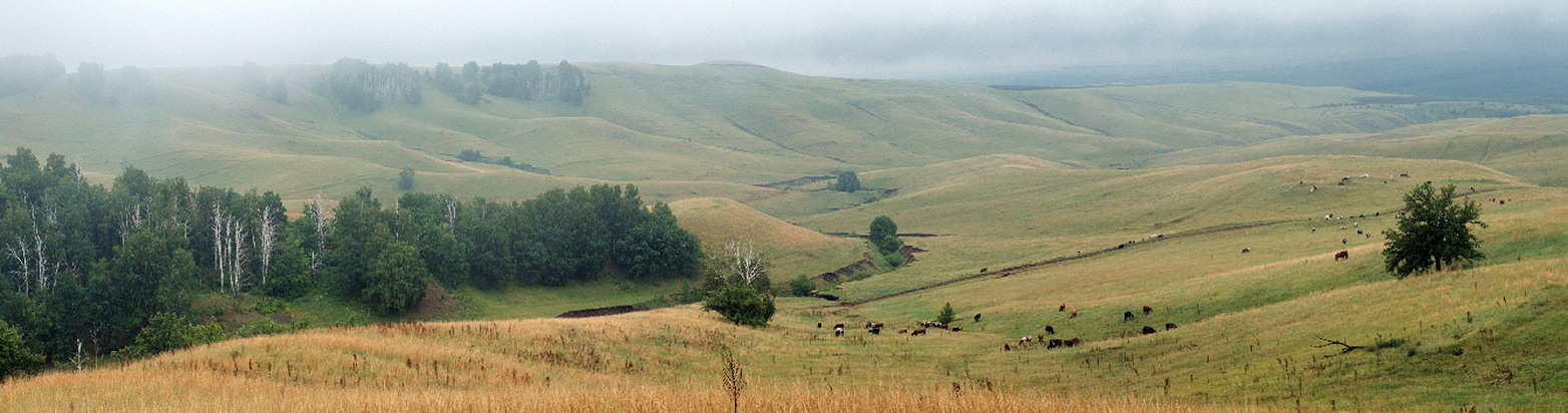 Заказник "Чатыр-Тау", image of landscape/habitat.