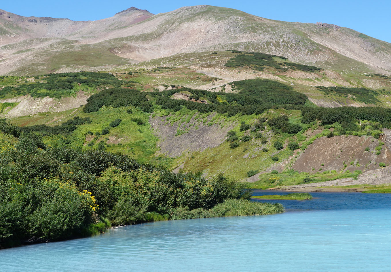 Дачные источники, image of landscape/habitat.