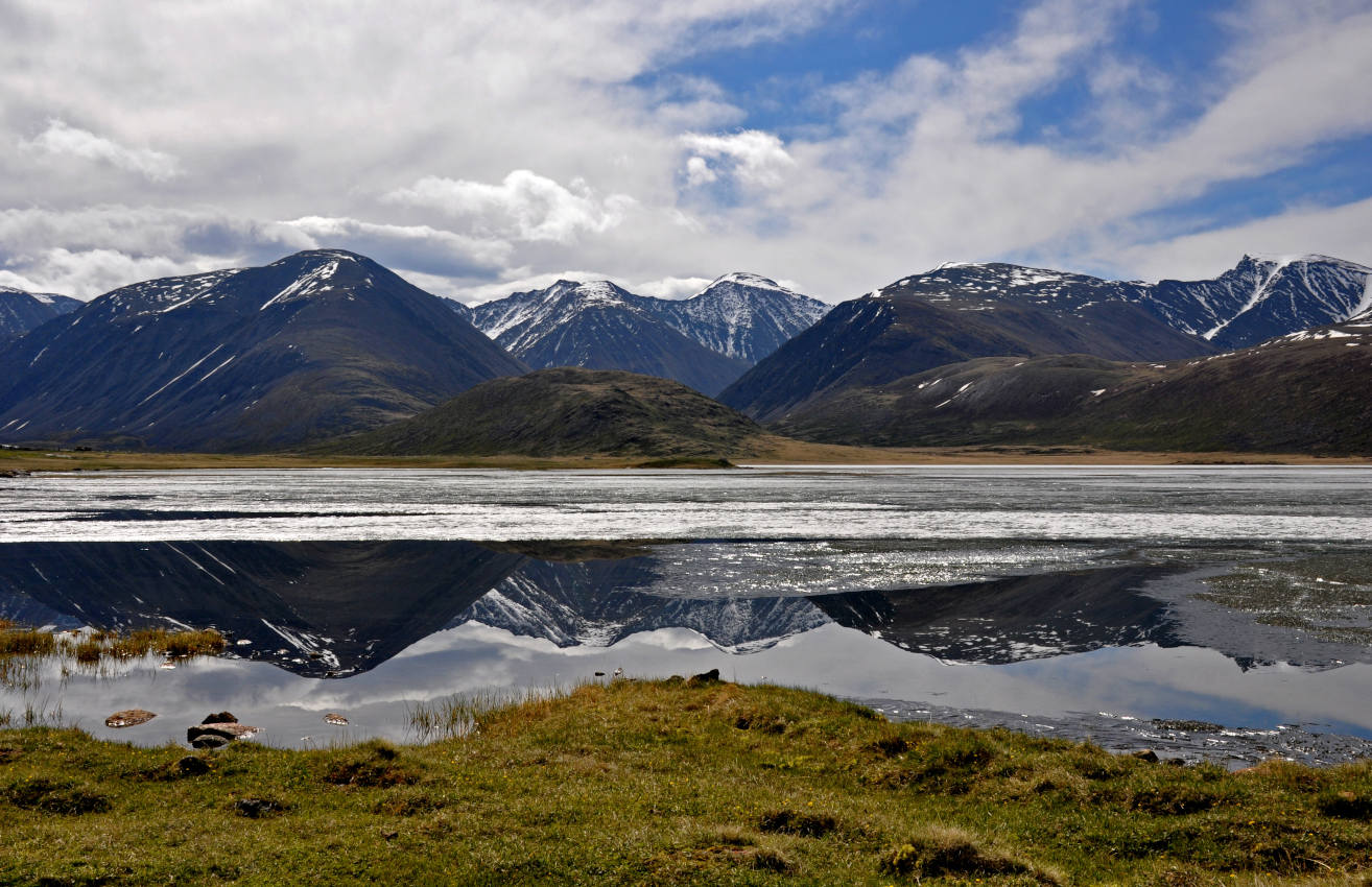 Долина реки Нарын-Гол, image of landscape/habitat.