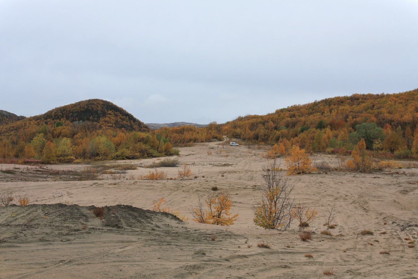 Дикое озеро, image of landscape/habitat.