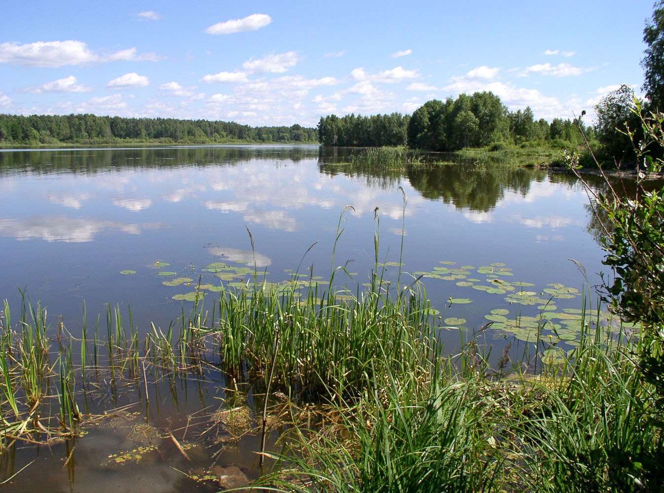 Иваньковское водохранилище, image of landscape/habitat.