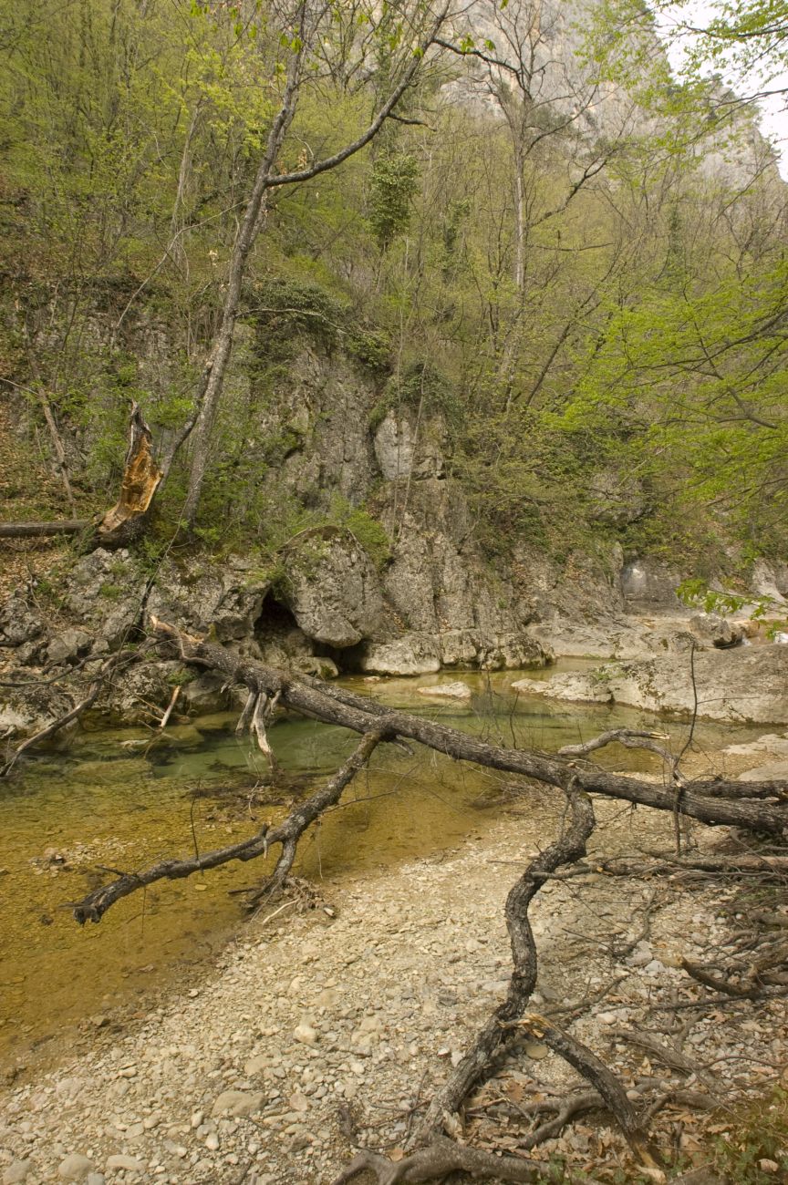 Большой каньон Крыма, image of landscape/habitat.