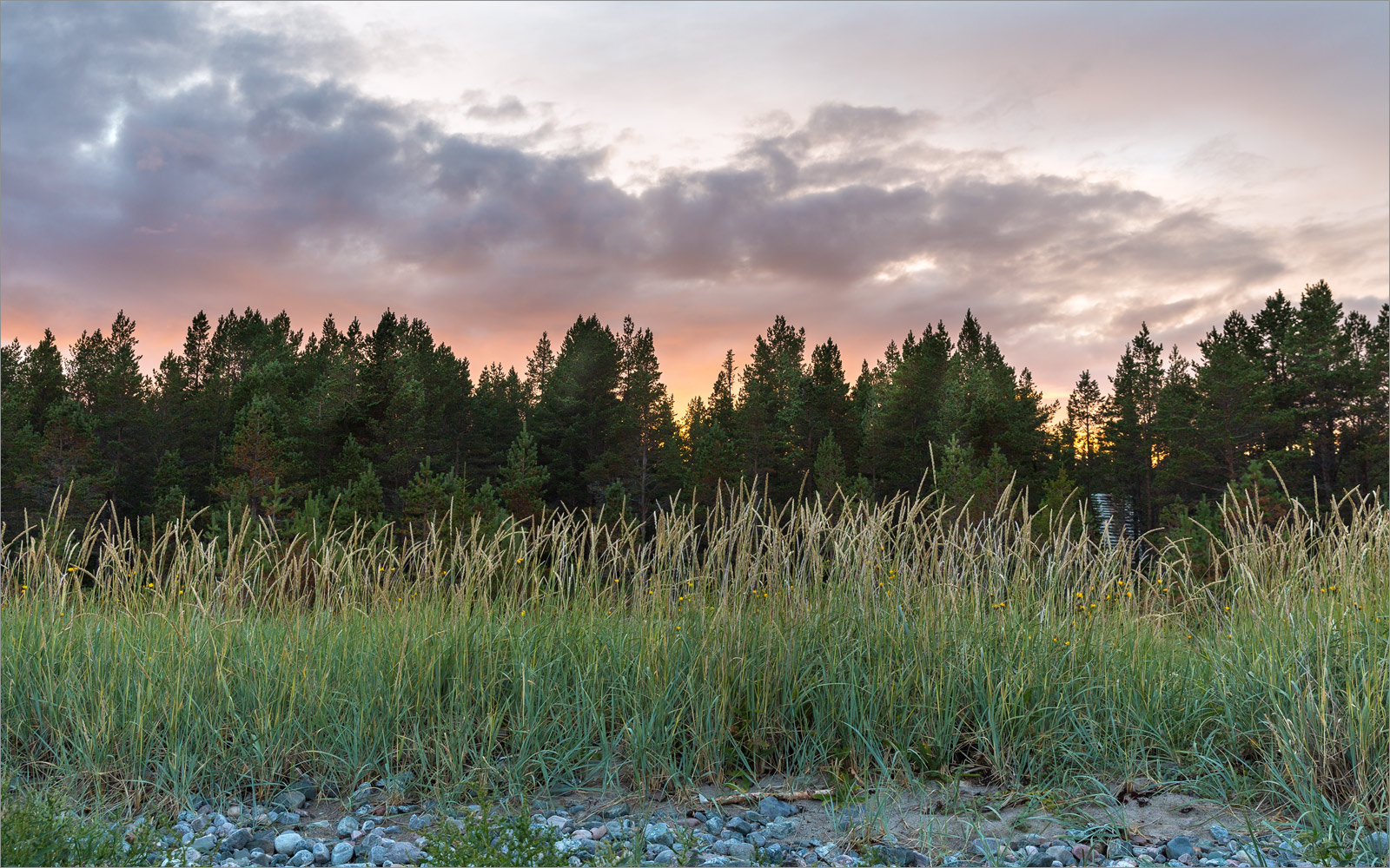 Мыс Носок, image of landscape/habitat.