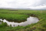 Image of landscape