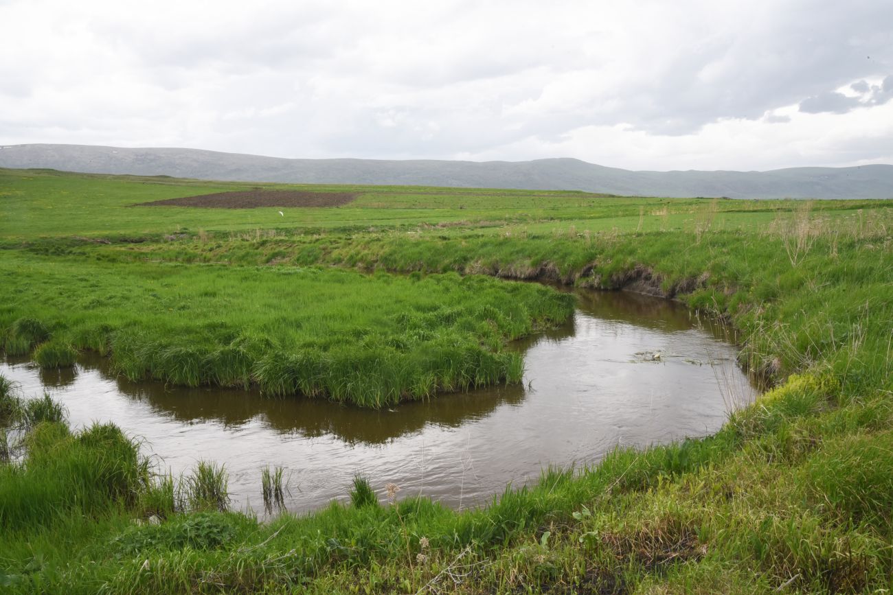 Озеро Карцахи, image of landscape/habitat.