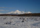 Водно-болотное угодье"Орлишка", image of landscape/habitat.