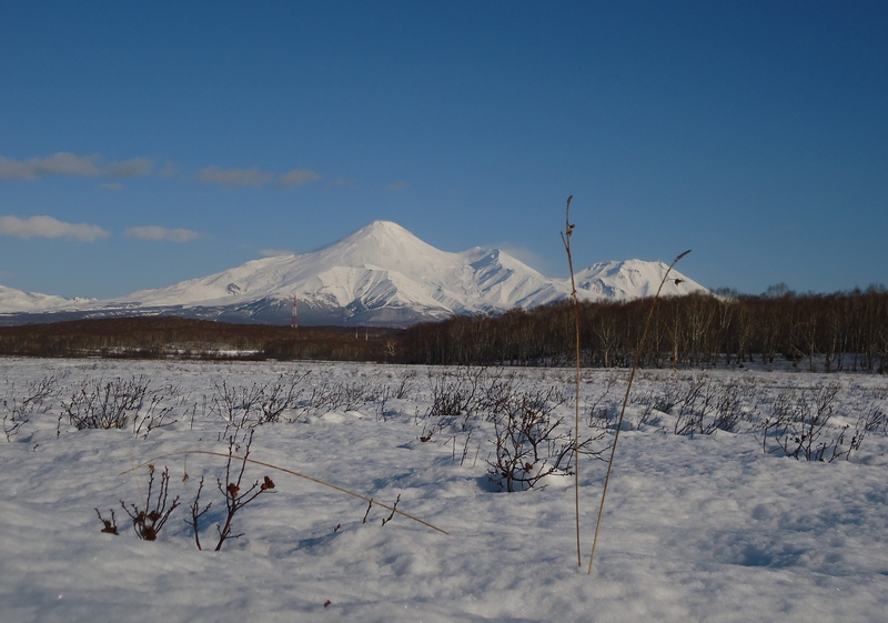 Водно-болотное угодье"Орлишка", изображение ландшафта.