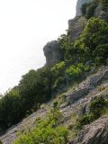 Image of landscape
