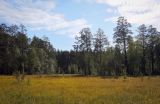 Image of landscape