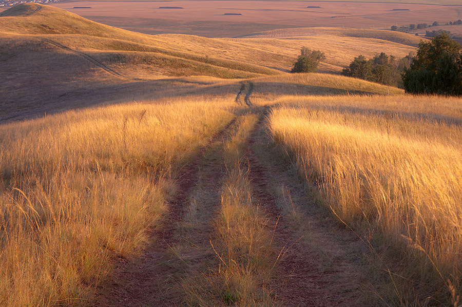 Заказник "Чатыр-Тау", image of landscape/habitat.