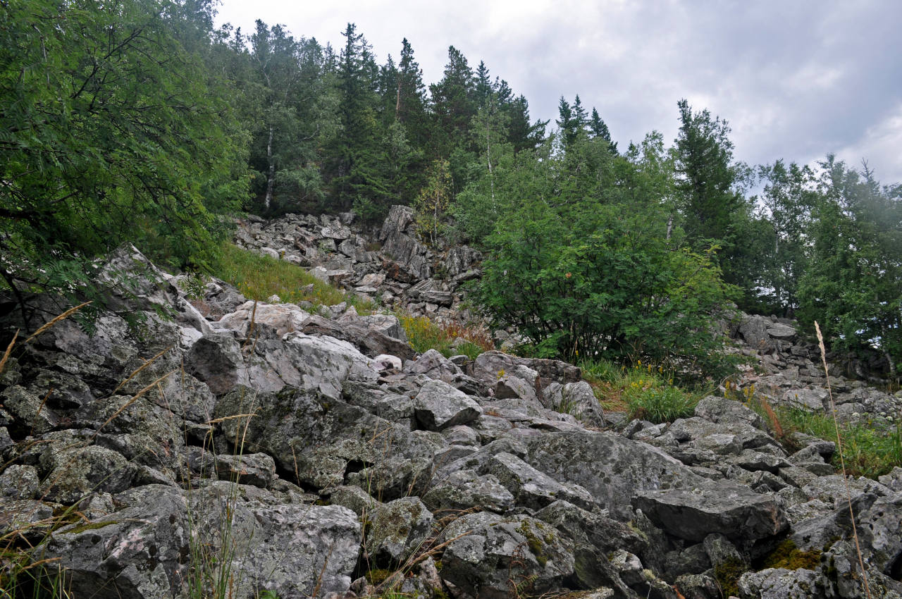 Александровская сопка, image of landscape/habitat.