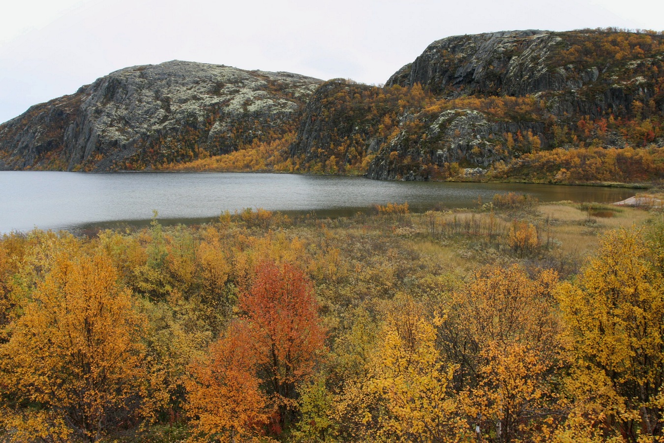 Дикое озеро, image of landscape/habitat.