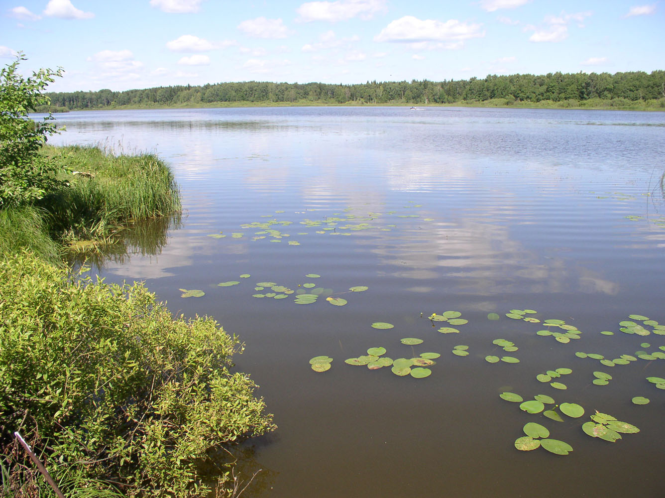 Иваньковское водохранилище, image of landscape/habitat.