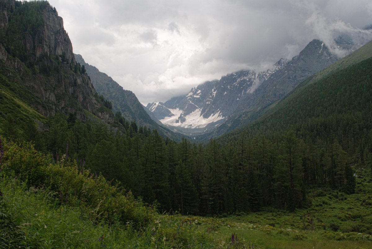 Долина реки Куйгук, image of landscape/habitat.