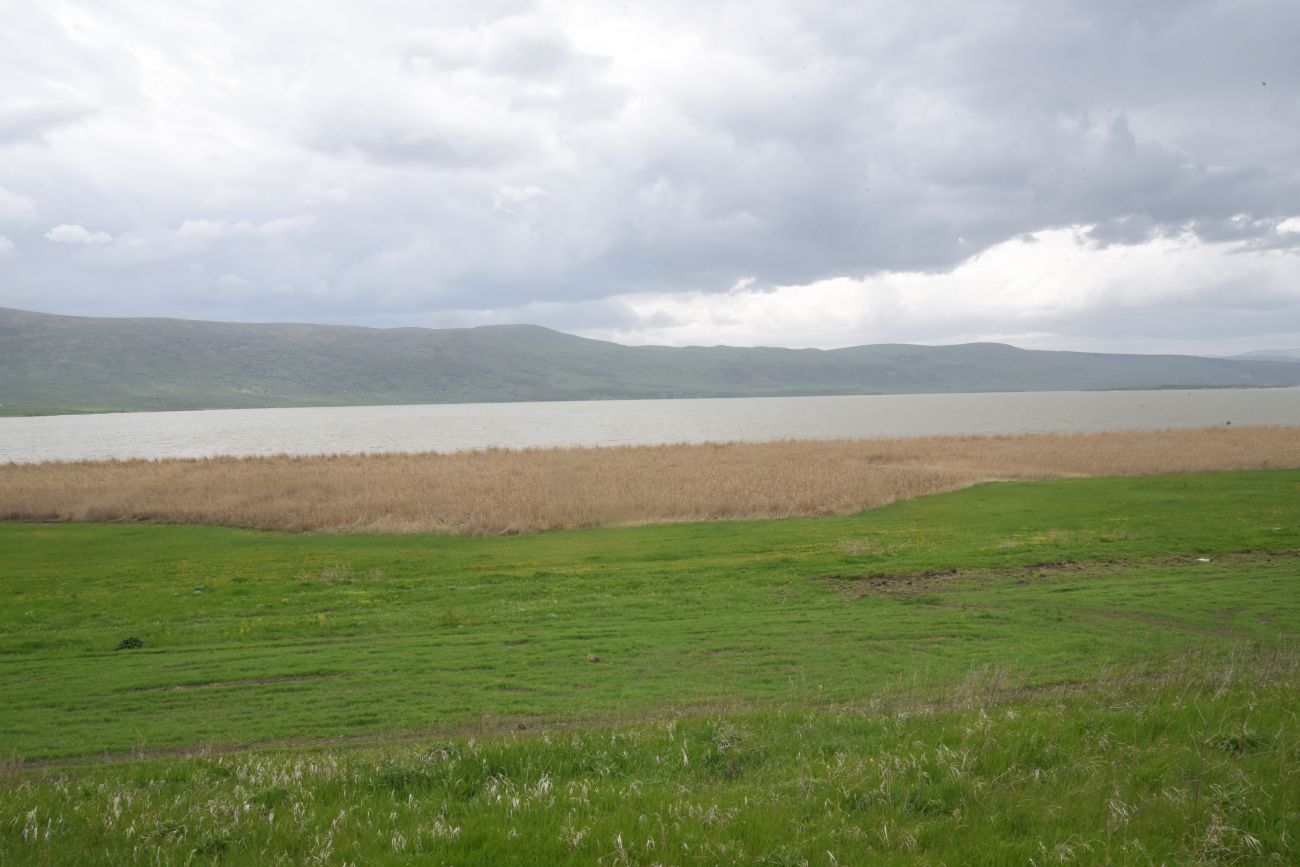 Озеро Карцахи, image of landscape/habitat.