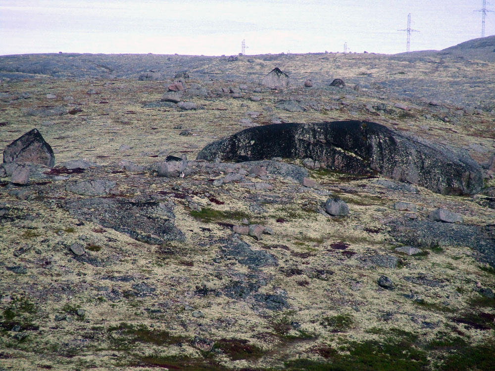 Дальние Зеленцы, image of landscape/habitat.