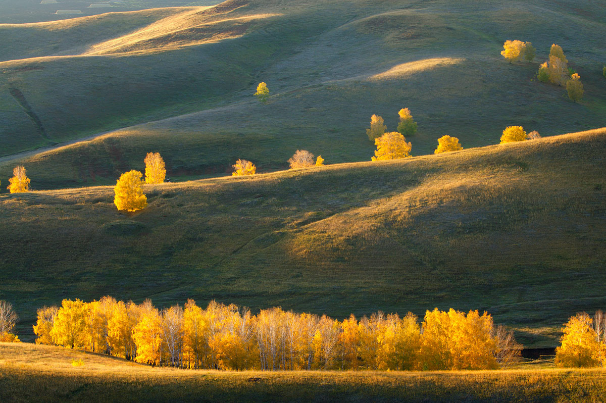 Заказник "Чатыр-Тау", image of landscape/habitat.