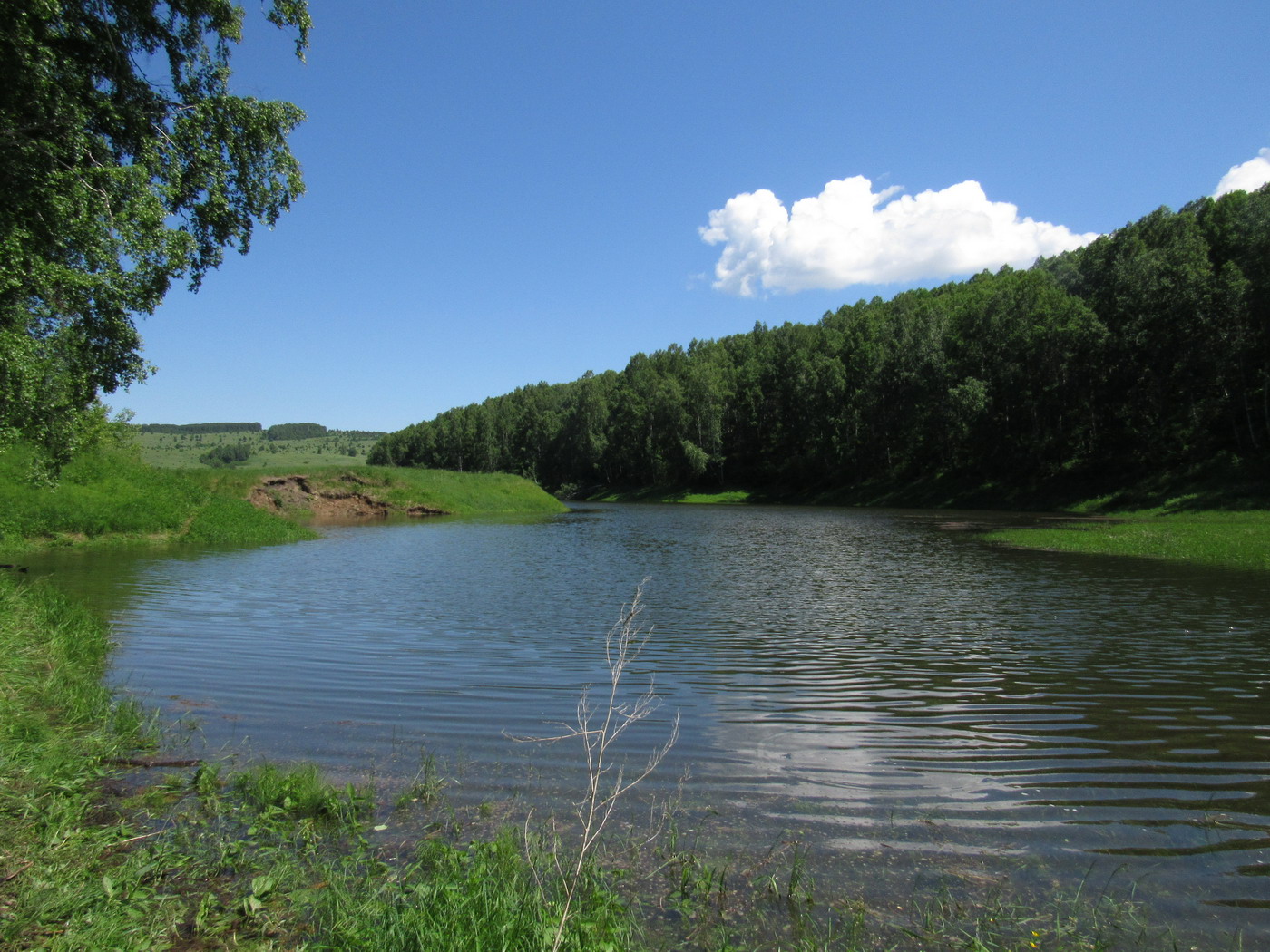 Убейский залив, image of landscape/habitat.