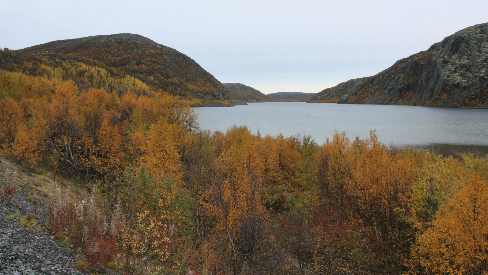 Дикое озеро, image of landscape/habitat.