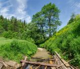 Окрестности Саргаи, image of landscape/habitat.