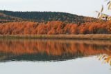 Село Охотское, image of landscape/habitat.