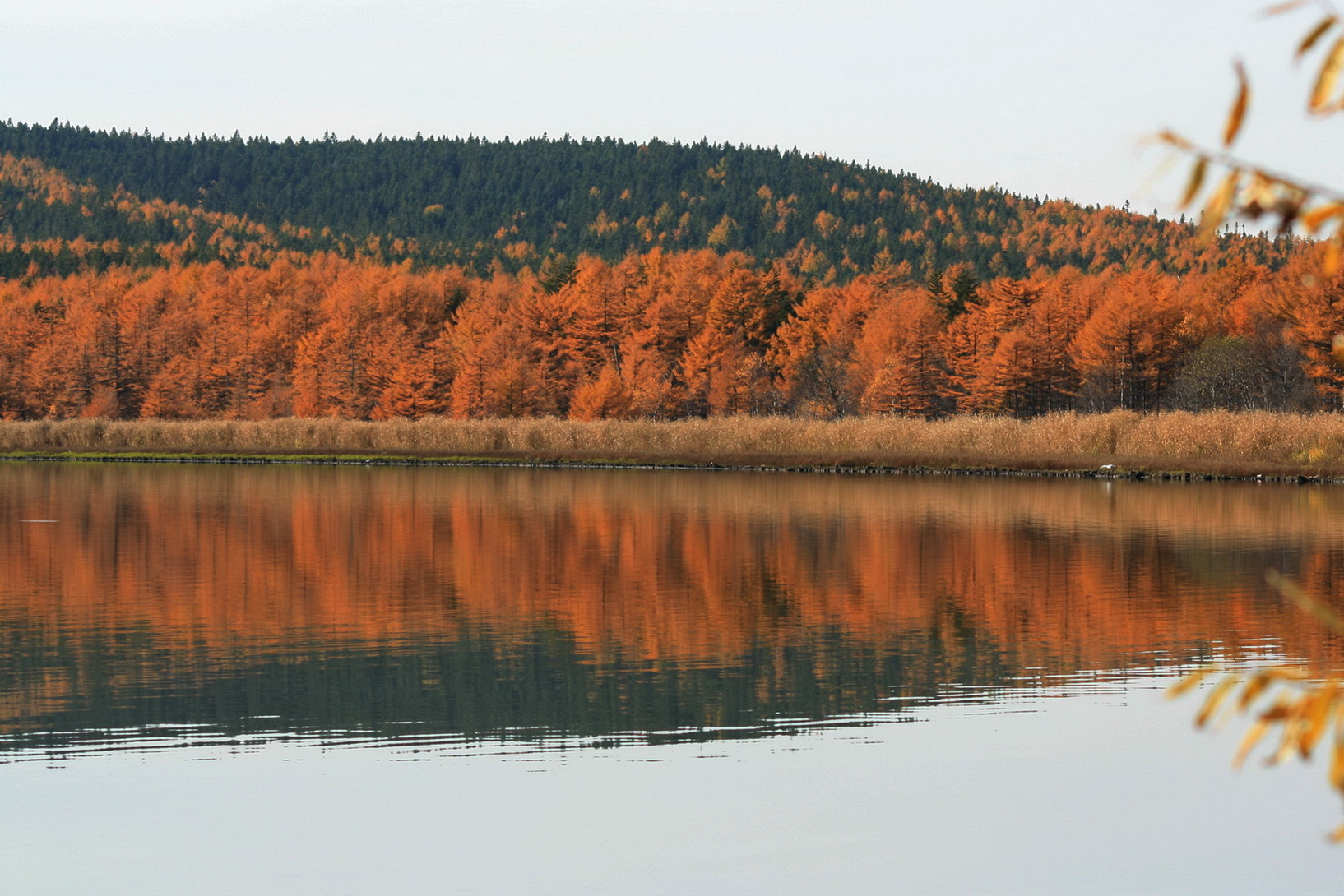 Село Охотское, image of landscape/habitat.